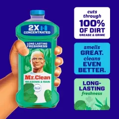 Mr. Clean Dilute Meadows & Rain Multi-Surface Cleaner