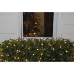 Northlight Mini Net Style Incandescent Christmas Lights - 4' x 6' - Clear - Green Wire