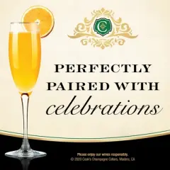 Cook's California Champagne Extra Dry White Sparkling Wine - 750ml Bottle