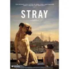 Stray (DVD)