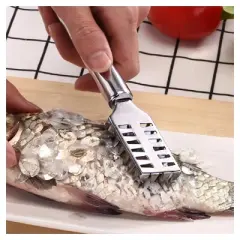 Kitcheniva Stainless Steel Fish Scaler Brush