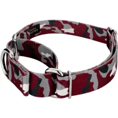 Country Brook Petz Martingale Dog Collar - Sports and Athletics Collection