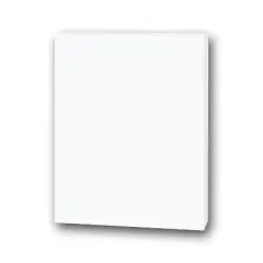 10pk 20" x 30" Foam Board White - Flipside