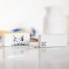 Pavilion Gift Company - Are you Makin' Bacon? - Pig - Salt and Pepper Shaker - Stoneware Set Piggy Piglet Farm Animals Kitchenware