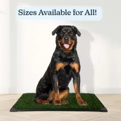 PETMAKER 41x27in Dog Grass Pad with Tray