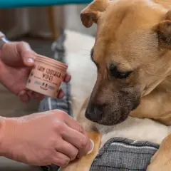 Natural Dog Company Skin Soother Dog Wipes - 50ct