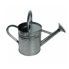 Gardener Select Galvanized Watering Can, Silver, 0.5 Gallon