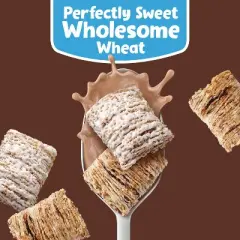 Kellogg's Frosted Mini Wheats Cocoa Breakfast Cereal - 20oz