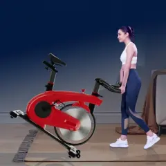 NAYSAYE Stationary Exercise Bike, Adjustable Workout Bike, Indoor Cycling Bike with Adjustable Seat for Home Gym, 42"*41.6"*21.6"