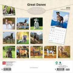 BrownTrout Great Danes 2026 12"x24" Hanging Square Wall Calendar Plastic-Free
