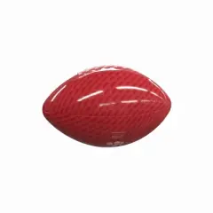 NCAA New Mexico Lobos Mini-Size Glossy Football