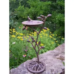 34" Meadow Birdbath - Antique Bronze - Oakland Living