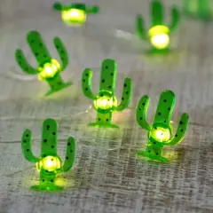 Northlight LED Cactus Fairy Lights - Warm White - 2.75' Silver Wire - 10ct