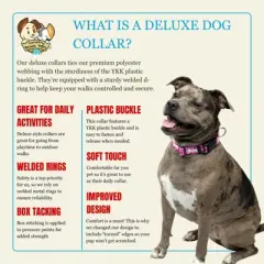 Country Brook Petz Deluxe Ribbon Dog Collar, Whimsical Nature Collection