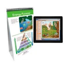 NewPath Learning Food Chains & Food Webs Flip Chart and Online Multimedia Lesson