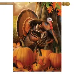 Harvest Turkey Fall Thanksgiving House Flag Autumn Pumpkins 28" x 40" Briarwood Lane