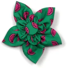 The Worthy Dog Watermelon Flower Adjustable Collar Attachment Accessory
