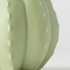 Pumped for Fall Green Live Houseplant - Good Little Garden&trade;