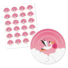 Big Dot of Happiness Girl Special Delivery - Pink It's A Girl Stork Baby Shower Circle Sticker Labels - 24 Count