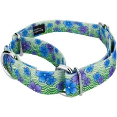 Country Brook Petz Martingale Dog Collar - Spring Collection