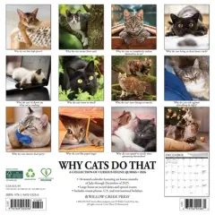 Willow Creek Press 2026 Why Cats Do That Wall Calendar