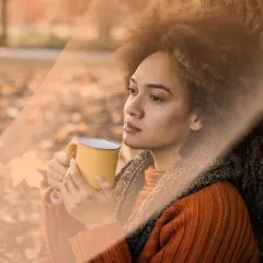 Air Wick Scented Oil - Apple Cinnamon Medley - 5pk