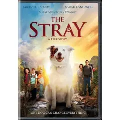 The Stray