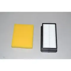 Bissell Style Filter Pack for CleanView Upright Vacuums, New OEM Part,1008, Black