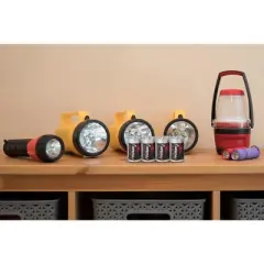 Impecca D 48-Pack Alkaline Platinum Batteries (48-Cells)