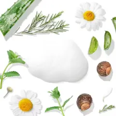 Tree To Tub Balancing Tea Tree Face Wash for Oily Skin