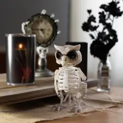 Owl Skeleton Halloween Decoration (2 Pack) - 6.5" Long - Indoor/Outdoor - Upgrade Your Fall Graveyard Haunted House Party Props, Trick-or-Treat Decor
