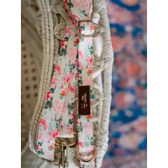 Pink Papyrus Isabella Dog Leash