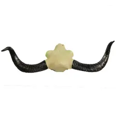 Halloween Express 24 in Halloween Light-Up Longhorn Skull