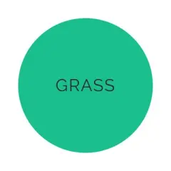 Jollity & Co. - Shade Dinner Plates in Grass - Pack of 8 Paper Plates