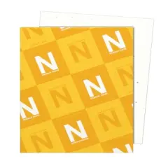 Astrobrights Card Stock, 8-1/2 x 11 Inches, Stardust White, Pack of 250