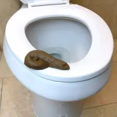 Skeleteen Realistic Fake Poo - for Gags and Pranks - Novelty Joke Plastic Toy for Halloween or April Fool's - Looks Real - 4.5" Long