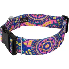 Country Brook Petz HossFit Jr Wide Deluxe Dog Collar - Groovy Collection