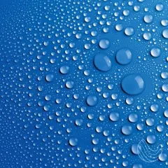 Innatus Essential Oil Aromatherapy Perceptive Mist &ndash; Focus & Refreshment,Made in USA-IN-1051