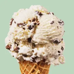 Tillamook Mint Chocolate Chip Ice Cream - 48 fl oz