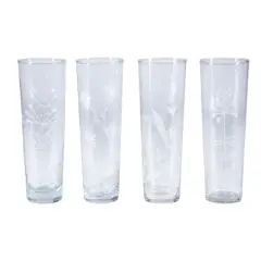 Storied Home 4-Piece 8-Ounce Hand-Blown Drinking Glass with Etched Botanicals, Clear