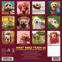 Willow Creek Press 2026 What Dogs Teach Us Wall Calendar