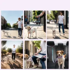 Unique Bargains Hands Free Dog Leash W/ Car Seatbelt 4.7-7.4FT Long 1 Pc