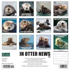 Willow Creek Press 2024 Wall Calendar 12"x12" In Otter News