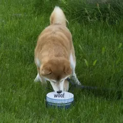 Pavilion Gift Company - Woof - Puppy Doggy Dog K-9 27 oz Food Water Meal Time Ceramic Stoneware Dish Bowl With Metal Iron Stand Pet Accessories