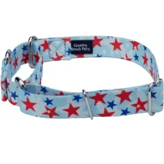 Country Brook Petz American Celebration Martingale Dog Collar (1/2 Inch, 2XS)