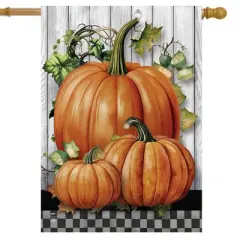 Briarwood Lane Fall House Flag 40x28 For Outdoor Country Pumpkins For Fall House Flag