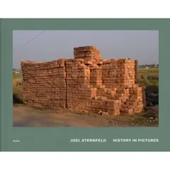 Joel Sternfeld: History in Pictures - (Hardcover)