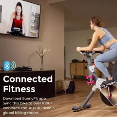 Sunny Health & Fitness Prime Magnetic Belt Drive Indoor Cycling Exercise Bike - Gray