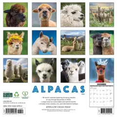 Willow Creek Press 2026 Alpacas Wall Calendar