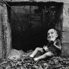 Loose Cattle - Someone's Monster (Vinyl)